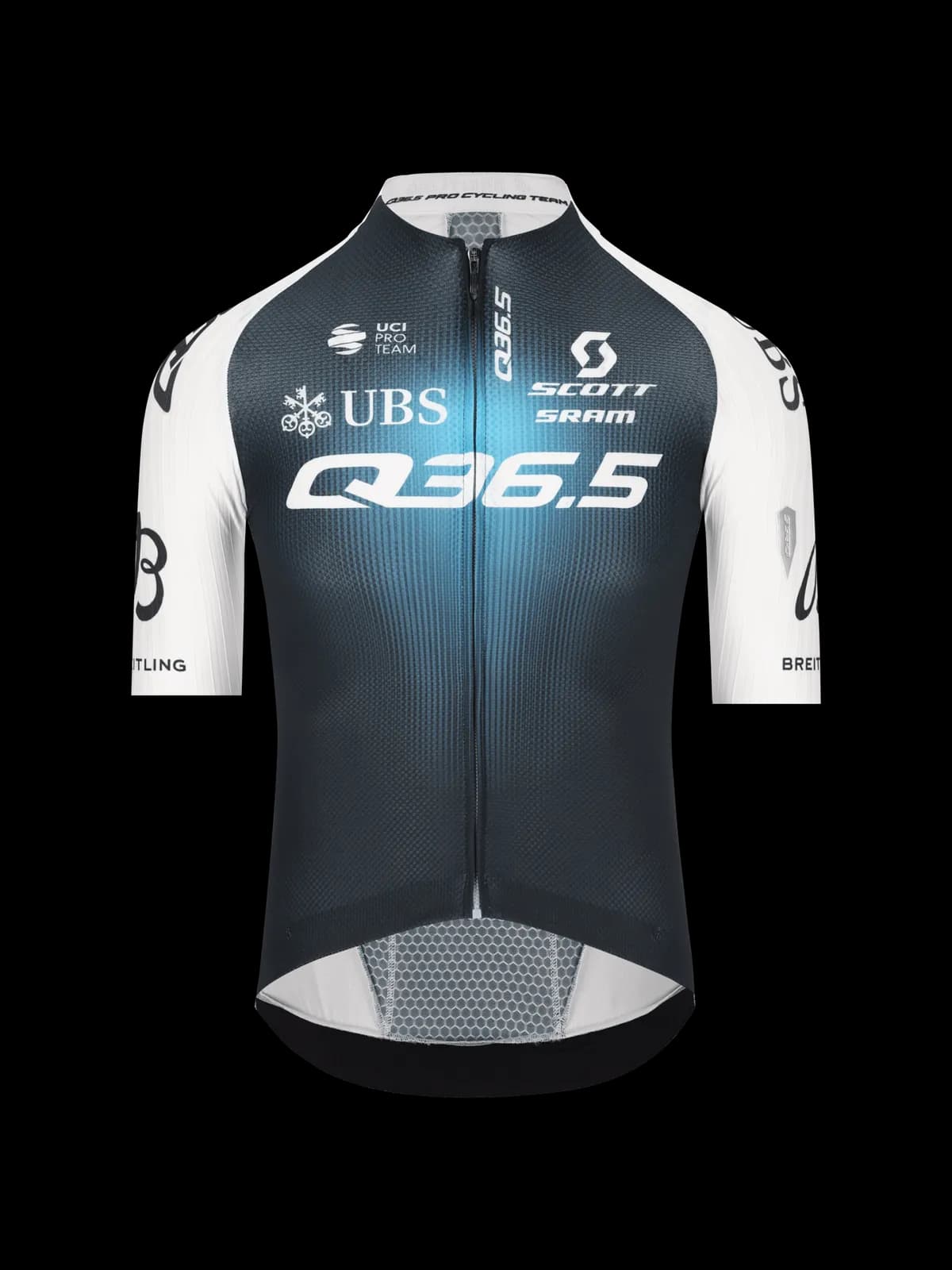Gregarius Q36.5 Pro Jersey