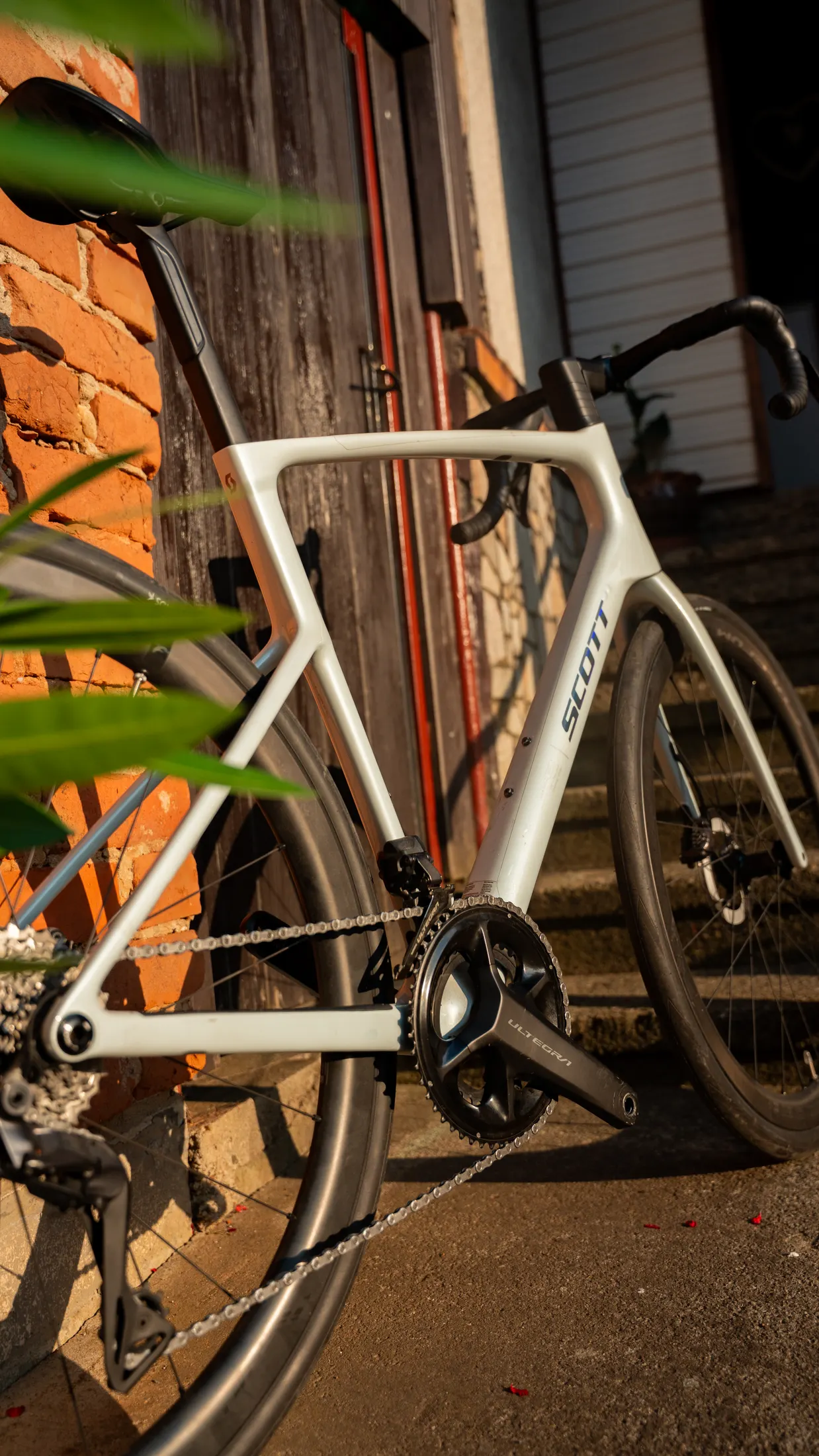 SCOTT Addict 20